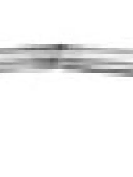 AC1235100 Hood Molding