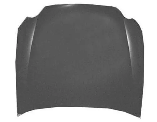 GM1230339C Body Panel Hood