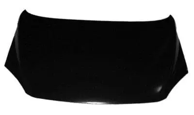 GM1230345C Body Panel Hood