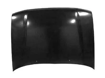 TO1230129C Hood Panel