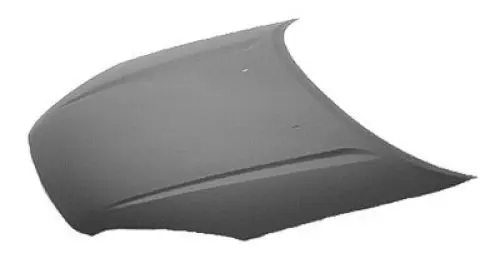 TO1230188C Hood Panel