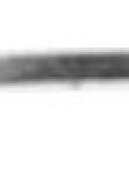 TO1235100 Hood Molding