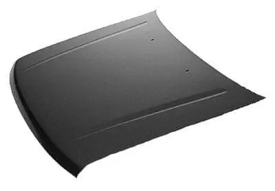 NI1230148C Hood