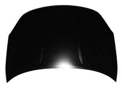 NI1230176C Hood