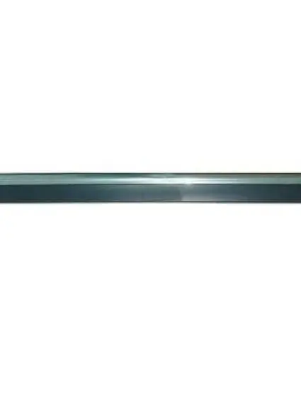 FO1305100 Body Panel Door Molding Passenger Side