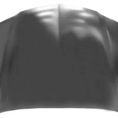 AC1230116C Hood Panel