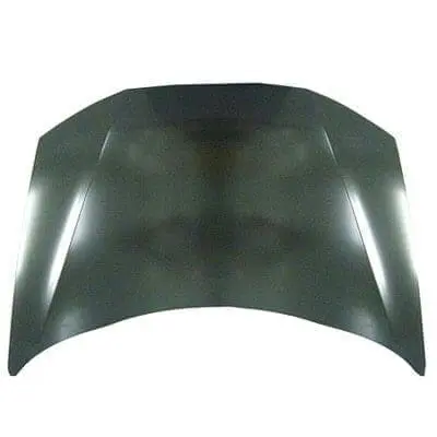 HO1230166C Hood Panel