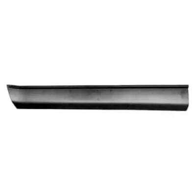 FO1304109 Driver Side Door Molding