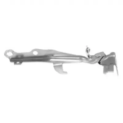 TO1236189 Passenger Side Hood Hinge