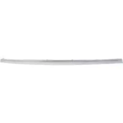 GM1146108 Rear Bumper Cover Molding
