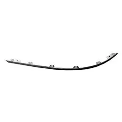 FO1046100 Driver Side Front Bumper Cover Molding