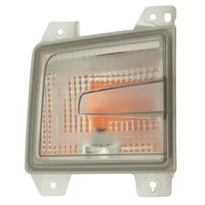HO2531129C Passenger Side Signal Lamp Assembly