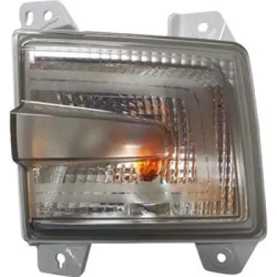 HO2531130C Passenger Side Signal Lamp Assembly