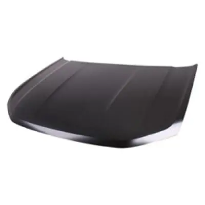 VW1230155C Hood Panel