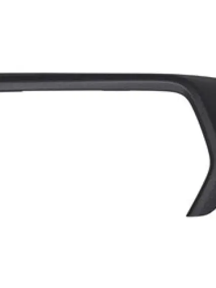 GM1046125 Front Bumper Molding Driver Side