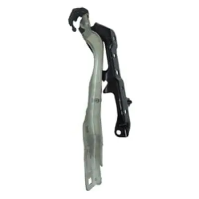 FO1236201 Passenger Side Hood Hinge