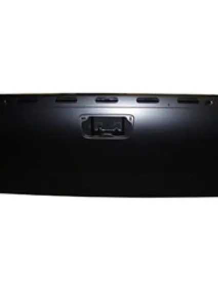GM1900125C Body Panel Truck Box Tailgate Shell