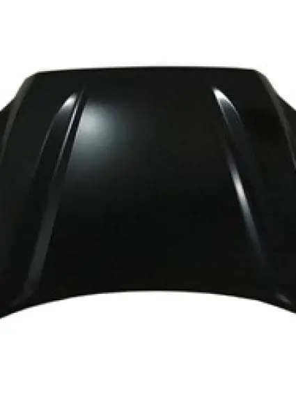 TO1230264C Hood Panel