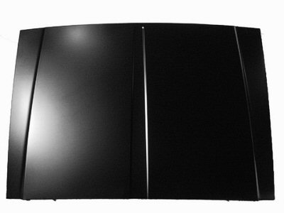 CH1230202C Body Panel Hood