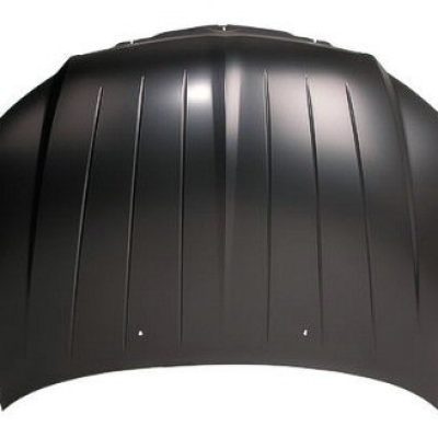 CH1230258C Hood
