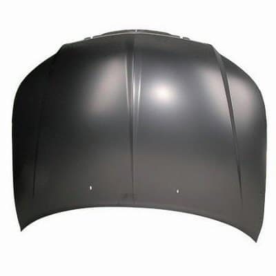 CH1230280C Hood CH1230280C Hood