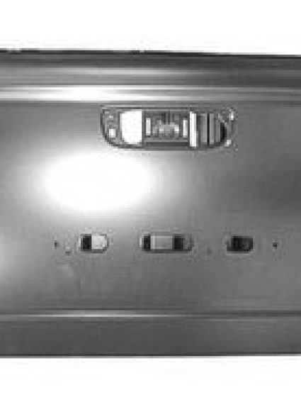 CH1900125C Body Panel Truck Box Tailgate Shell