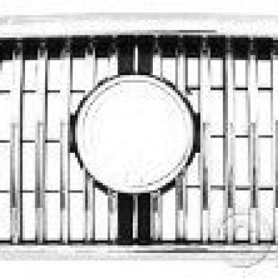 GM1200394 Grille Main