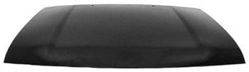 GM1230203C Body Panel Hood