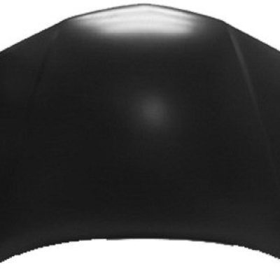 GM1230238C Body Panel Hood