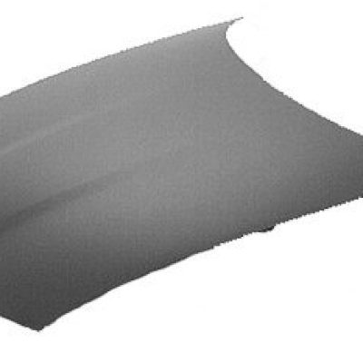 GM1230250C Body Panel Hood