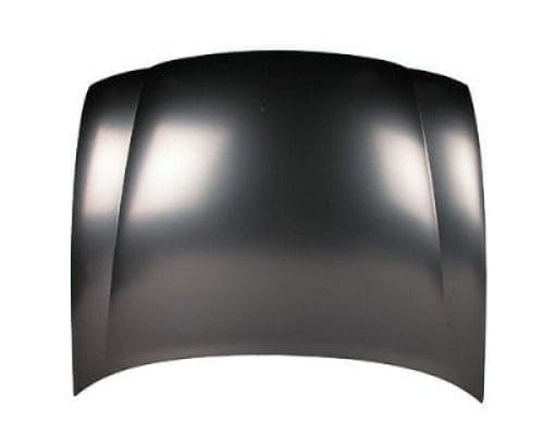 GM1230252C Body Panel Hood