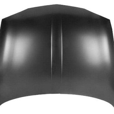 GM1230254C Body Panel Hood