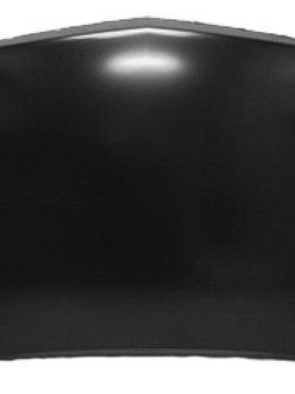 GM1230309 Body Panel Hood