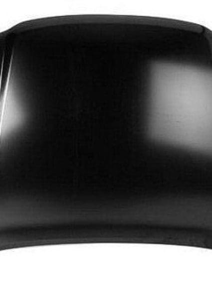 GM1230319C Body Panel Hood