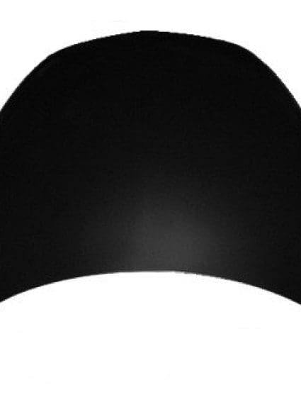 GM1230343C Body Panel Hood