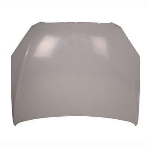 GM1230353C Body Panel Hood