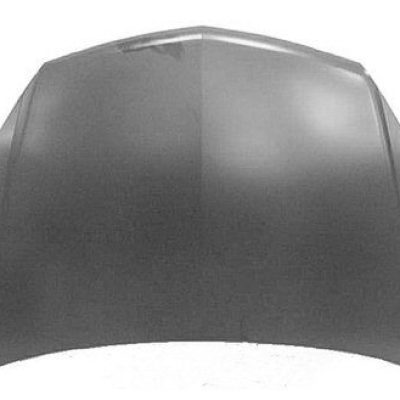 GM1230372C Body Panel Hood