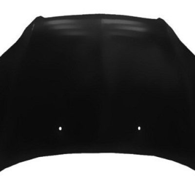GM1230388C Body Panel Hood