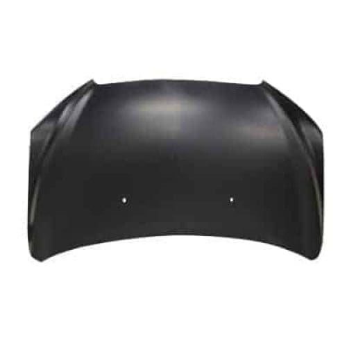 GM1230405C Body Panel Hood