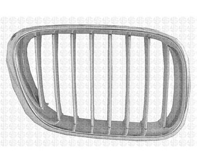 BM1200155 Grille Main