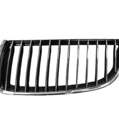 BM1200166 Grille Main