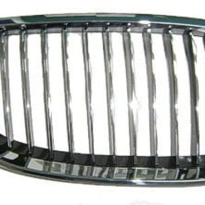 BM1200185 Grille Main