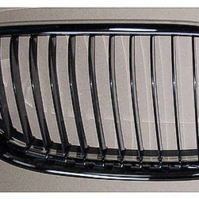 BM1200209 Grille Main