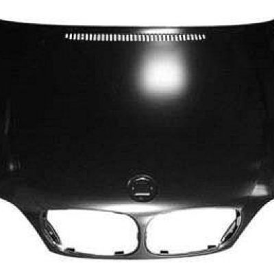 BM1230120 Body Panel Hood