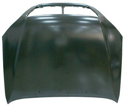 LX1230113 Body Panel Hood