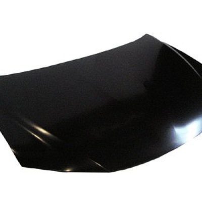 LX1230120C Body Panel Hood