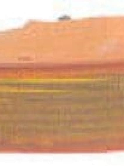 NI2530106 Front Light Signal Lamp Lens & Housing