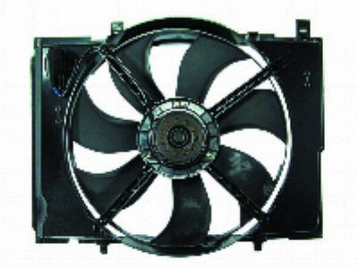 MB3115114 Cooling System Fan Radiator