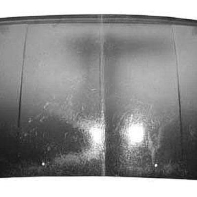 MI1230107 Hood