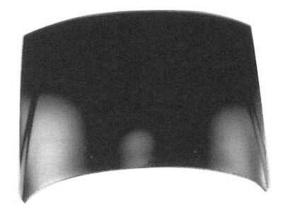 MI1230197 Hood MI1230197 Hood